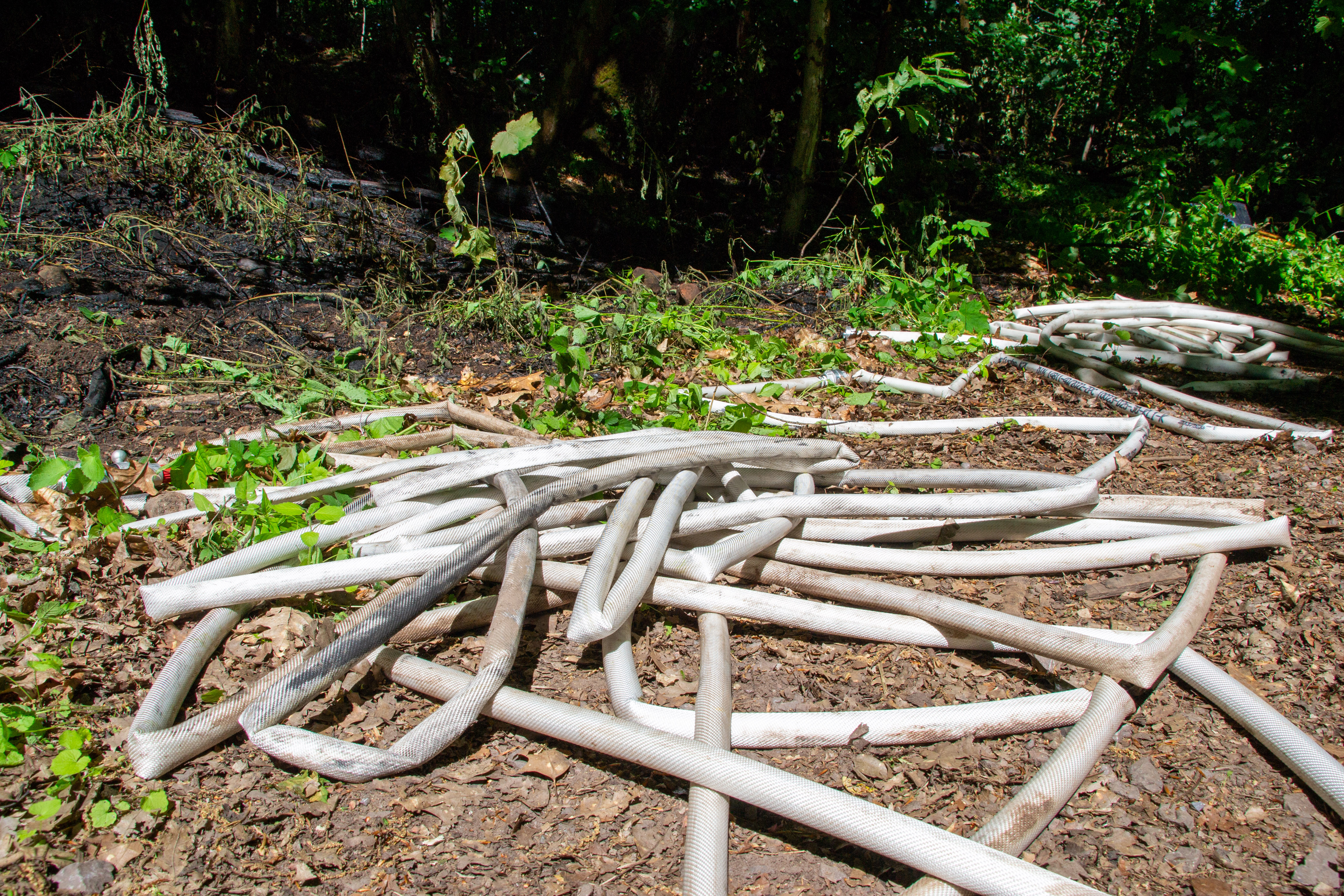 Luftaufnahme des Waldbrandes