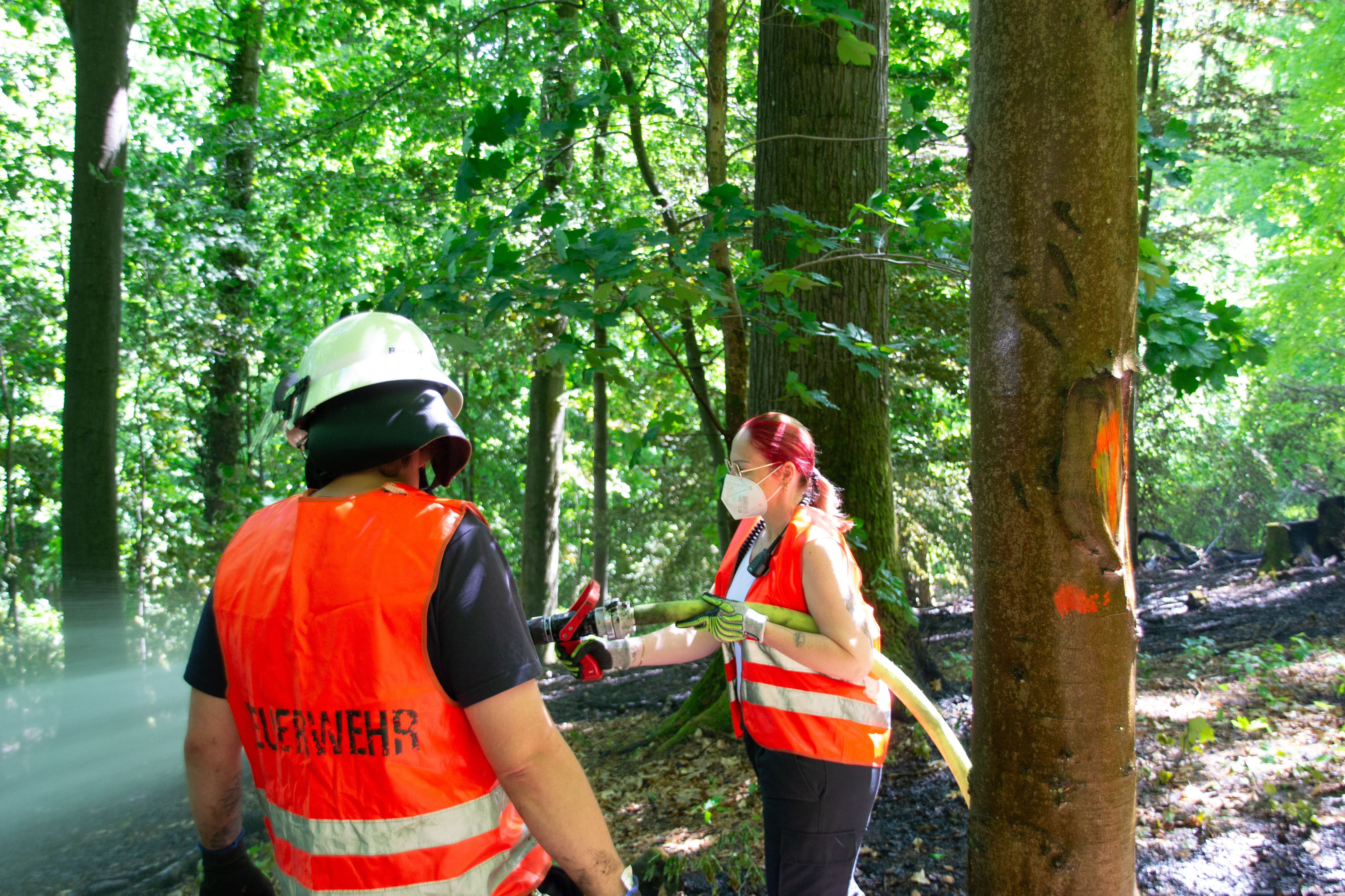 Luftaufnahme des Waldbrandes